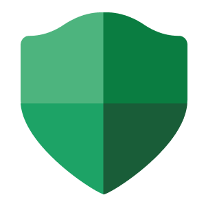 Cyber Risk Assessment